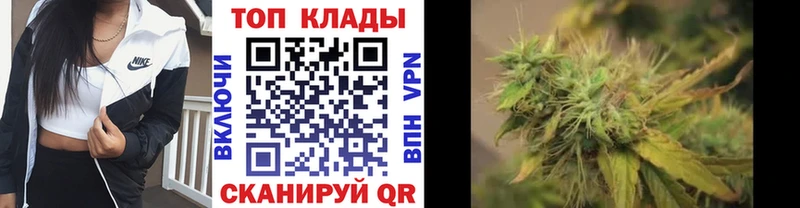 Конопля Староминская