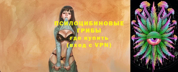 mix Белокуриха