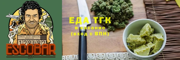 шишки Сясьстрой
