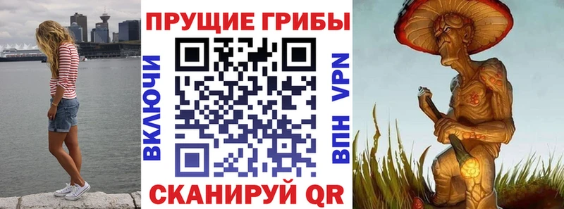 Галлюциногенные грибы прущие грибы  Староминская 